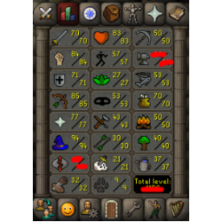 [NO EMAIL SET] -TOA Starter - Barrows gloves - Piety - 1.2k TTL - No bans/marks